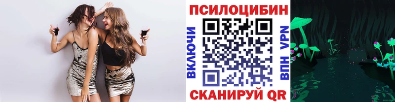 Купить где  Сургут  Галлюциногенные грибы MAGIC MUSHROOMS 